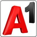 A1.