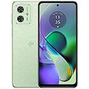 Motorola Moto G54.