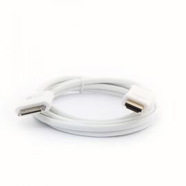Apple Dock station connector to HDMI cable.