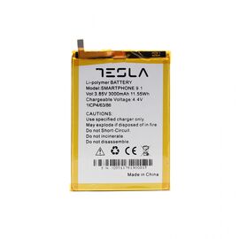 Baterija Teracell Plus - Tesla 9.1.