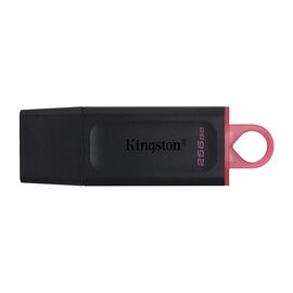 USB Flash memorija Kingston Data Traveler Exodia 3.2 256GB DTX crno roze (MS).