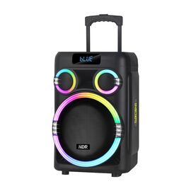 Zvucnik bluetooth NDR-B315 60W 15inca sa dva mikrofona crni (MS).