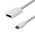 Adapter Type C na DP 4K 60Hz.