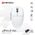 Mis Wireless Gaming Fantech XD7V2P Aria II PRO beli.