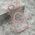 Futrola COLOR RING MagSafe - iPhone 17 Air roze (MS).