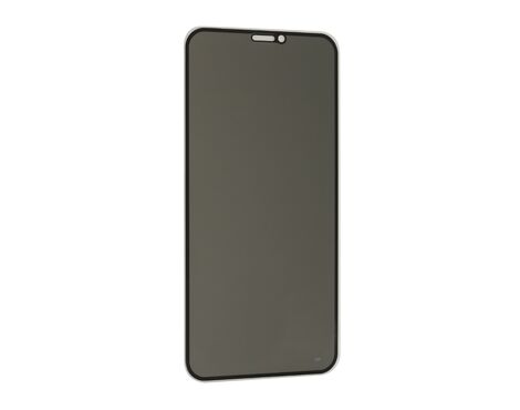Zastitna folija za ekran GLASS PRIVACY 2.5D full glue - Iphone XR/11 crna (MS).