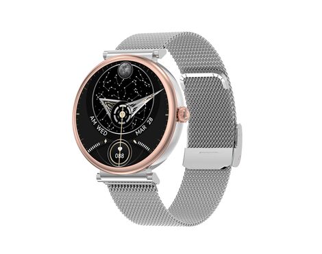 Smart watch DT109 srebrni (silikonska i metalna narukvica) (MS).