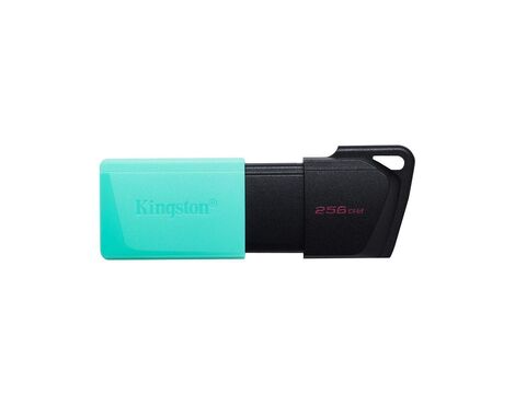 USB Flash memorija Kingston Data Traveler Exodia M DTXM/256 GB 3.2 (MS).