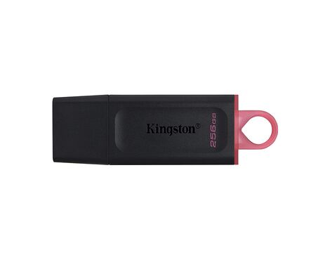 USB Flash memorija Kingston Data Traveler Exodia 256GB 3.2 DTX crno roze (MS).