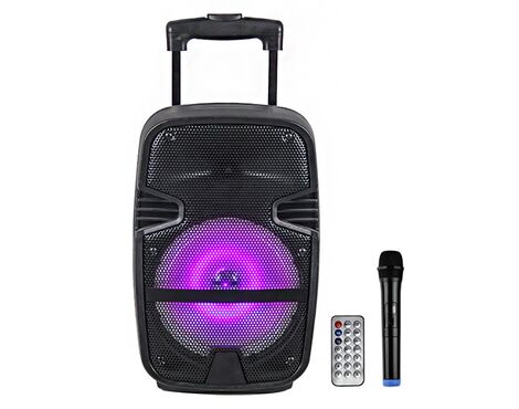 Bluetooth zvucnik NDR-A15 15" 40W.