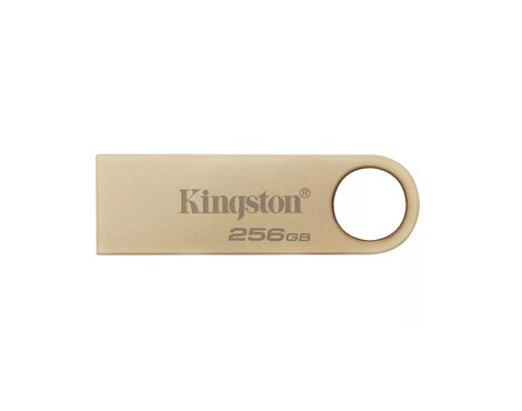 USB Flash memorija Kingston Data Traveler 3.2 256GB DTSE9G3/256 (MS).