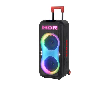 Zvucnik bluetooth NDR-1508 40W 2*8 inca sa dva mikrofona crni (MS).