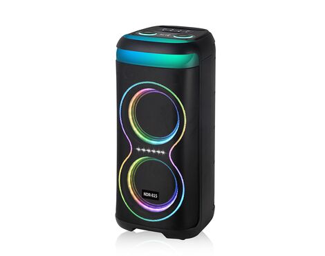 Zvucnik bluetooth NDR-815 60W 2*8 inca sa dva mikrofona crni (MS).