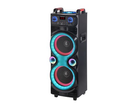 Zvucnik Bluetooth NDR-1100 100W 2*10 inca sa dva mikrofona crni (MS).