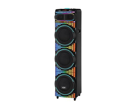 Zvucnik bluetooth NDR-3260 100W 3*12 inca sa dva mikrofona crni (MS).