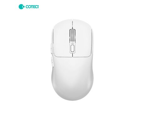 Mis Coteci OF-046 AI Smart beli.