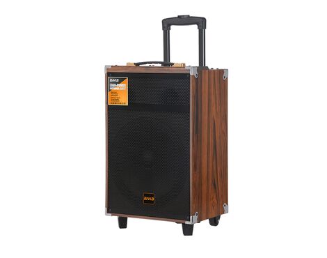 Zvucnik Bluetooth NDR-BQ12 50W 12 inca sa mikrofonom crni (MS).