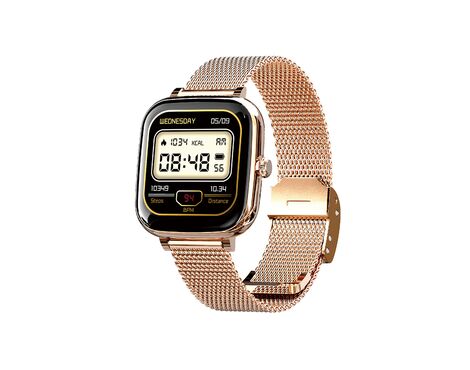 Smart watch Moxom MX-WH24 zlatni (MS).