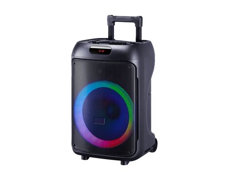 Zvucnik Bluetooth NDR-JBR-1205 20W 12 inca sa mikrofonom crni (MS).