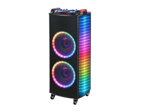 Zvucnik bluetooth NDR-1010S 100W 2*10 inca sa dva mikrofona crni (MS).