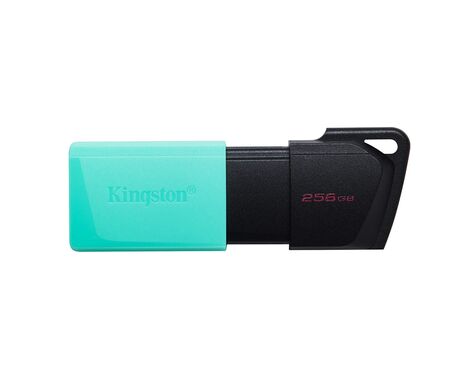 Kingston Data Traveler Exodia Onyx DTXM USB flash memorija 256GB 3.2 crna.
