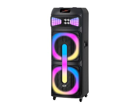 Zvucnik bluetooth NDR-2250 100W 2*12 inca sa dva mikrofona crni (MS).