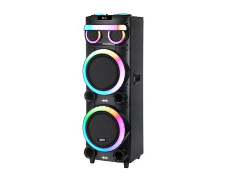 Zvucnik Bluetooth NDR-21280 100W 2*12 inca sa dva mikrofona crni (MS).