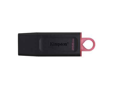 USB Flash memorija Kingston Data Traveler Exodia 3.2 256GB DTX crno roze (MS).