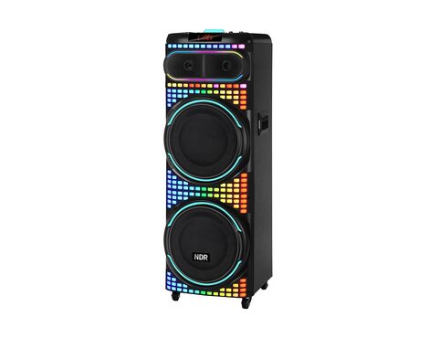 Zvucnik bluetooth NDR-2260 100W 2*12 inca sa dva mikrofona crni (MS).