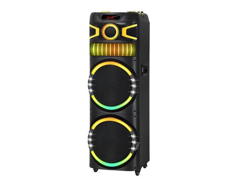 Zvucnik bluetooth NDR-M22003 100W 2*12 inca sa dva mikrofona crni (MS).