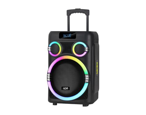 Zvucnik bluetooth NDR-B315 60W 15inca sa dva mikrofona crni (MS).