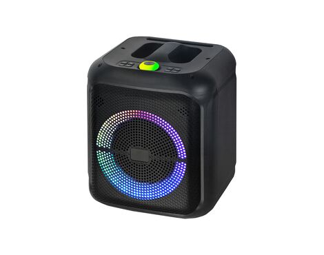 Zvucnik bluetooth NDR-2210 20W 10 inca sa dva mikrofona crni (MS).
