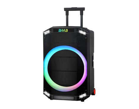 Zvucnik bluetooth NDR-B12-01 60W 12inca sa dva mikrofona crni (MS).