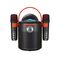 Zvucnik Bluetooth Y-11 sa 2 mikrofona crni (MS).