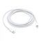 Apple data kabl Type C na Lightning 2m (MQGH2ZM/A).