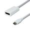 Adapter Type C na DP 4K 60Hz.