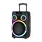 Zvucnik bluetooth NDR-B315 60W 15inca sa dva mikrofona crni (MS).