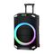 Zvucnik bluetooth NDR-B12-01 60W 12inca sa dva mikrofona crni (MS).